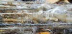 Beautiful Fleece = Beautiful Yarn!